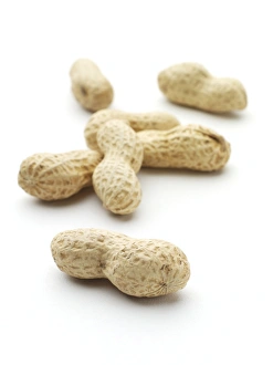 Exotic Fruit Images Stampe: Monkey nuts