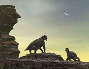 Stampe di Moschops. L'opera d'arte di due Moschops che si preparano ad affrontarsi su una piattaforma in arenite del Karoo regione dell'Africa del Sud Immagini datate 2010 giugno: Moschops, arte