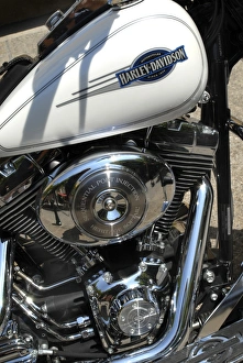 Harley-Davidson Stampe: Motore di motocicletta