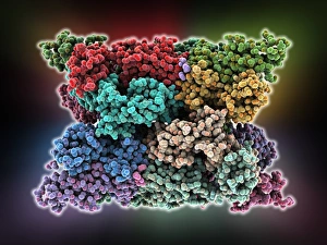 Molecular Biology Models Stampe: Multiple sclerosis protein complex C015 / 3496
