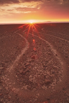 Stampe di Le linee di Nasca rappresentano parte della gamba di una ragno viste dal suolo all'alba. Ci sono centinaia di geoglifi, o disegni del paesaggio, nella deserto costiero meridionale del Perù Immagini datate 2001 marzo: Linee di Nazca