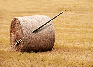 Conceptual Computer Artwork Stampe: Needle in a haystack, conceptual artwork