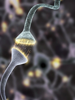 Nerve Synapse Stampe: Nerve synapse, artwork