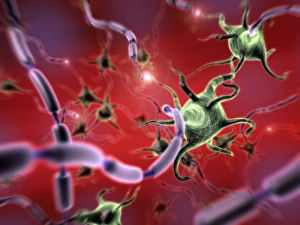 Myelin Sheath Structure Stampe: Neural network