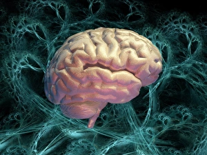 Artificial Intelligence Concept Stampe: Neural network, computer artwork