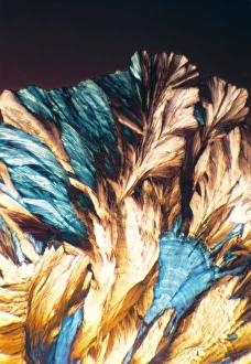 Polarised Light Microscopy Stampe: NMDA crystals, light micrograph