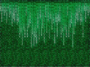 IL DNA Stampe: Matrice di nucleotidi basici