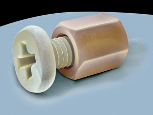 Scanning Electron Microscope Photos Stampe: Nut and bolt, SEM