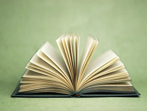 Open Book Stampe: Open book