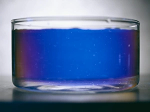 Stampe di Attività ottica. Immagine 1 di 2. L'attività ottica del fruttoso dimostrata con luce polarizzata. I composti otticamente attivi rotano le onde luminose che passano attraverso loro Luce Polarizzata Stampe: Attività ottica