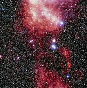 Emission Nebula Images Stampe: Optical image of part of Barnards loop nebula