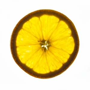 Orange Slice Stampe: Orange slice