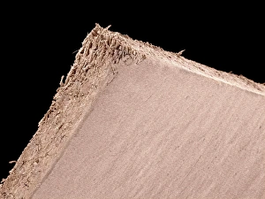 Coloured Scanning Electron Microscopy Stampe: Paper, SEM