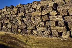 Goldenstedter Moor Stampe: Peat stack C018 / 0881