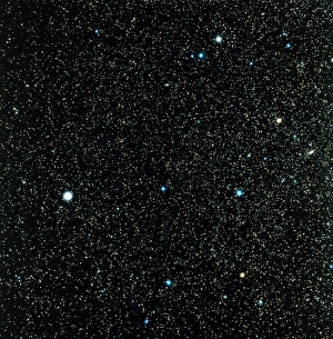 Zodiacal Constellations Stampe: Pegasus constellation