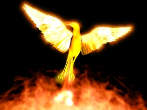 Stampe di Il fenice. Questo uccello mitologico fu descritto per la prima volta da Omero nel 8° secolo a.C.. Solo un fenice poteva esistere contemporaneamente Immagini datate 2004 novembre: Phoenix