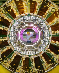Fisica Stampe: Il rilevatore OPAL al CERN.