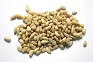 Pine Nuts Stampe: Pine nuts