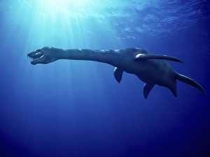 Prehistoric Sea Creatures Stampe: Plesiosaur