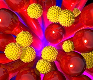 Stampe di La pollinazione. L'arte informatica di grani di polvere (buchi spicchiati in giallo) sulla pistilina (rosso) della fioritura Immagini datate 2001 novembre: Pollen