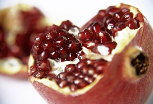 Punica Granatum Stampe: Pomegranate