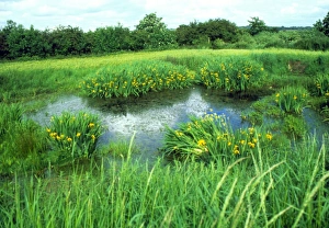 Fiume destate