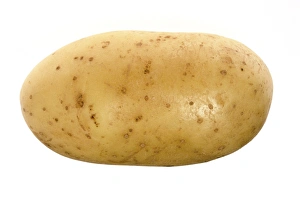 Potato Nutrition Stampe: Potato
