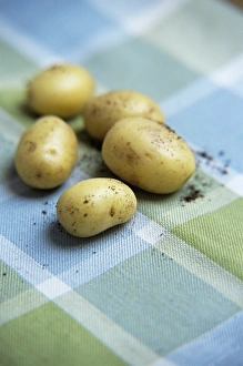 New Potatoes Stampe: Potatoes