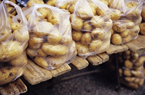 Potato Nutrition Stampe: Potatoes