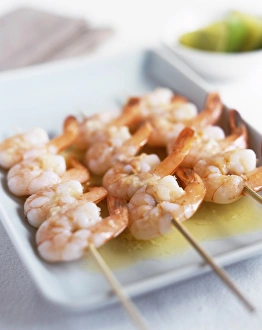 Prawn Nutrition Stampe: Prawns