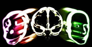 Stampe di L'evoluzione del cervello primitivo Immagini datate 2005 gennaio: Evoluzione del cervello primato