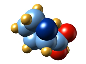 Amino Acid Structure Stampe: Proline, molecular model