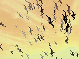 Cretaceous Period Creatures Stampe: Pterosaurs