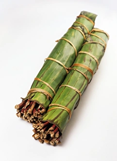 Stampe di Qat. Stemi del piante di qat etiopico (Catha edulis). I stemi vengono avvolti con foglie di banana per preservare la loro freschezza Immagini datate 2004 maggio: Stemi di qat