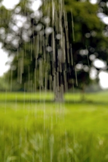 Devon Landscapes Stampe: Rain falling