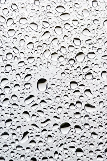Rainy Day Window View Stampe: Raindrops on a window pane