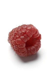 White Background Fruit Photos Stampe: Raspberry