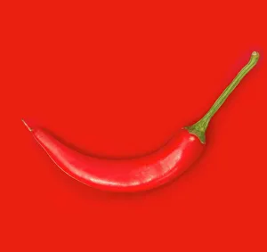 Red Chilli Pepper Stampe: Red Chilli