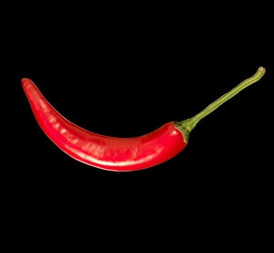 Immagini del 12 agosto 2009: Peperoncino rosso di pepe rossi