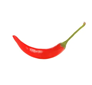 Spicy Food Ingredients Stampe: Red chilli pepper