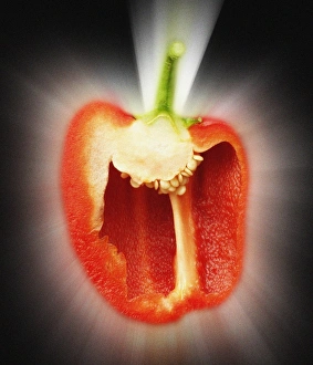 Capsicum Annuum Nutrition Stampe: Red pepper