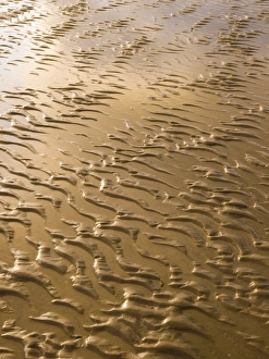 Coastal Erosion Images Stampe: Rippled sand in regular pattern
