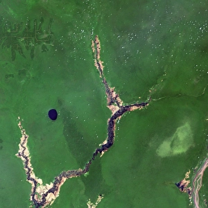 Democratic Republic Of Congo Stampe: River Congo in forest
