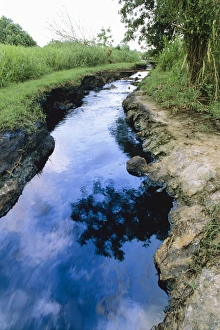 Environmental Damage Stampe: River pollution