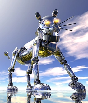 Stampe di Gatto robot Immagini datate 2012 aprile: Gatto robot