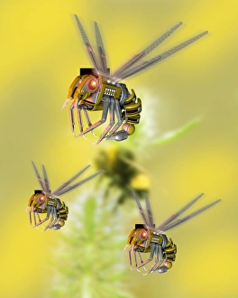 Stampe di Le insetti robotici. L'arte computerizzata di MEM (microelettronica meccaniche) basati sul design di una farfalla organica si può vedere in sottofondo Immagini datate 2006 maggio: Roboti insetti