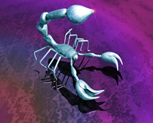 Stampe di Robo scorpione. Artigianato computer di un robot progettato sulla base del modello dello scarabeo. I disegni futuri dei robot copriranno una vasta gamma di dimensioni e utilizzazioni Immagini datate 2005 gennaio: Robo scorpione