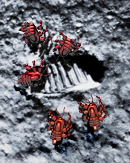 Lunar Surface Exploration Stampe: Robots on the Moon