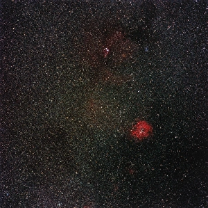 Stampe di Nebbia di Rosetta. Immagine ottica della Nebbia di Rosetta (rosso, a destra) nella costellazione Monoceros, l'Unicorno. La direzione nord è sopra Immagini datate 2001 marzo: Nebbia di Rosetta