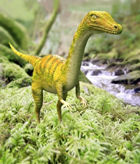 Computer Artwork Of Dinosaurs Stampe: Saltopus
